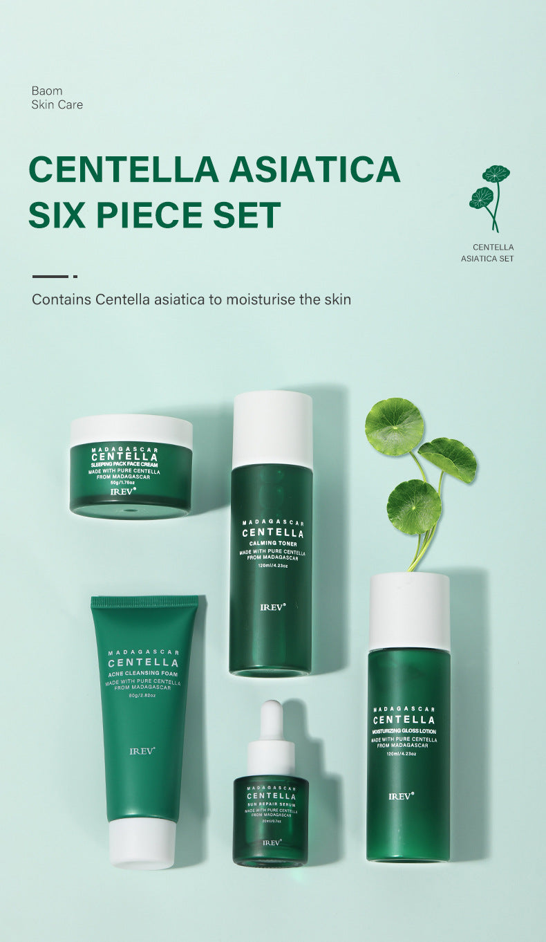 Botanical Radiance Centella Skincare Ensemble