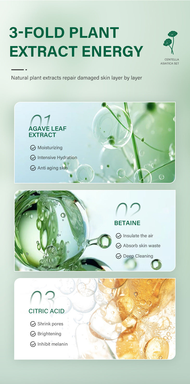 Botanical Radiance Centella Skincare Ensemble
