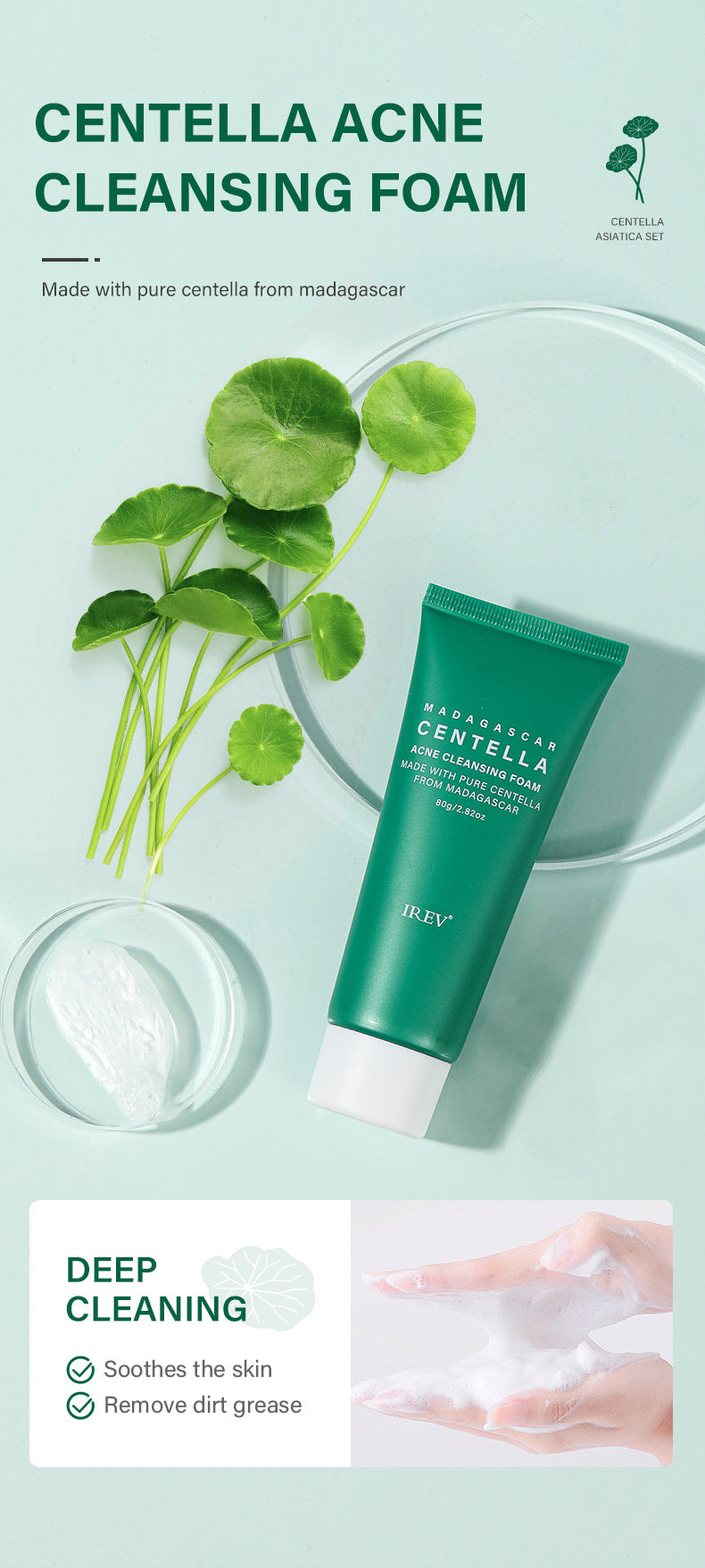 Botanical Radiance Centella Skincare Ensemble