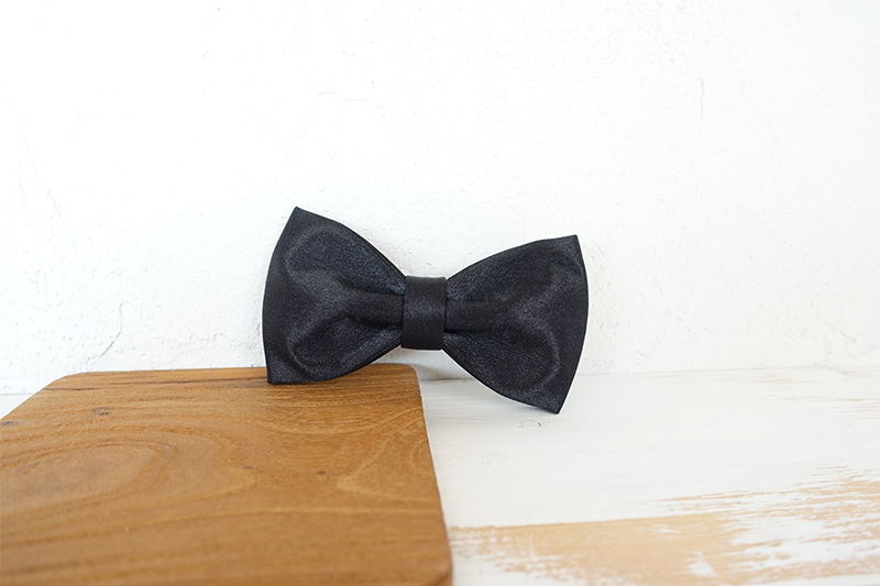 Elegant Tie Enhancements for Pets