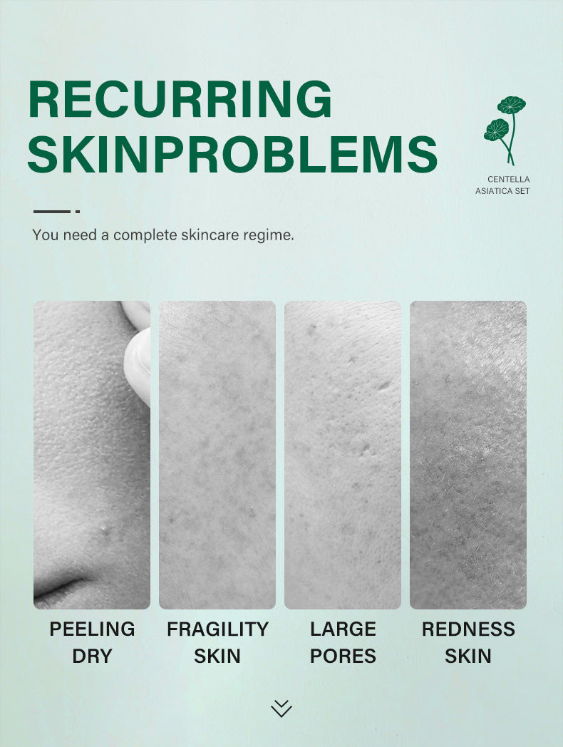 Botanical Radiance Centella Skincare Ensemble