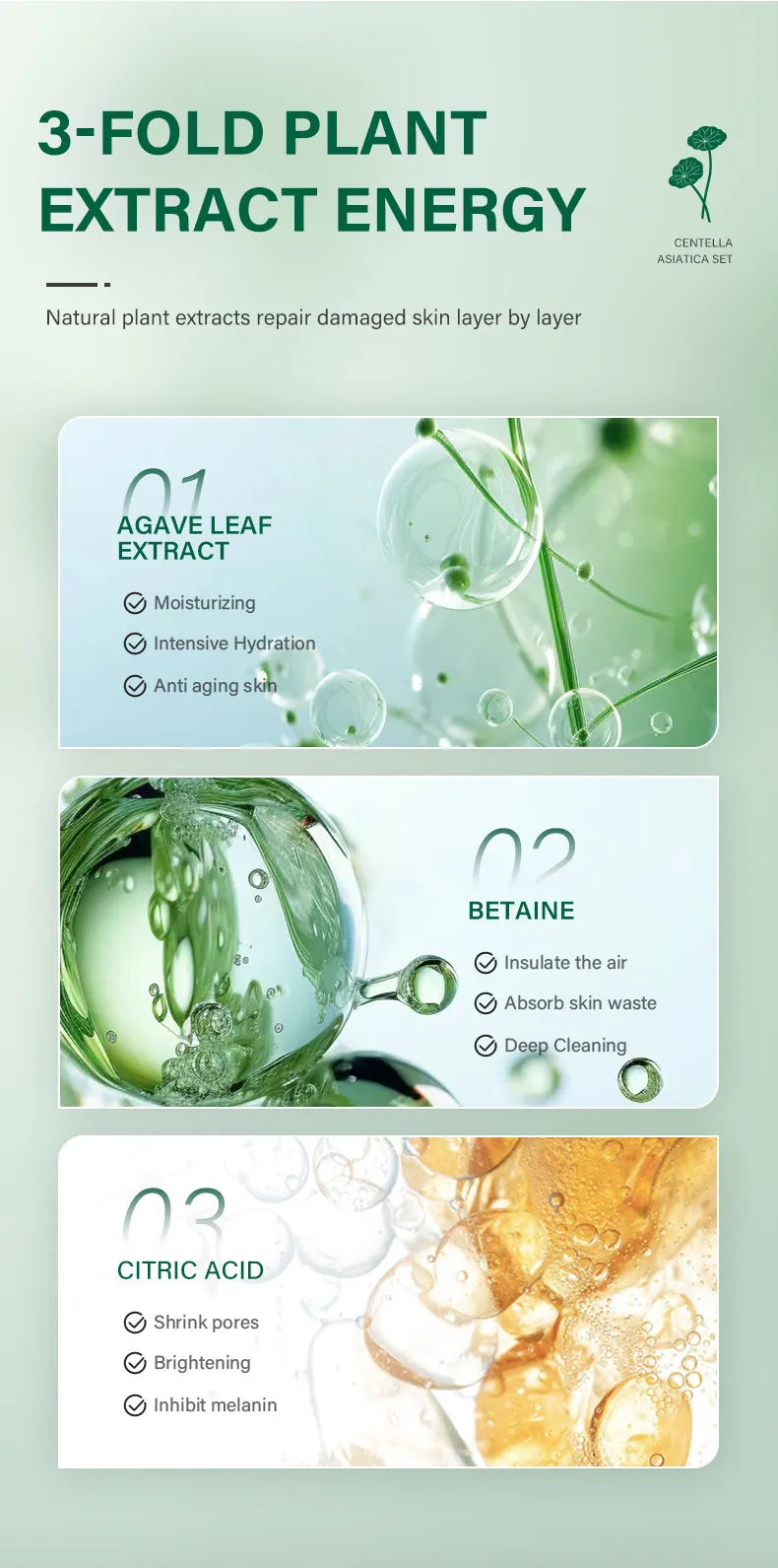 Botanical Radiance Centella Skincare Ensemble